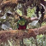 Photo taken by Chris H