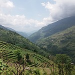 View from tea house in Landruk | Photo taken by Monique L