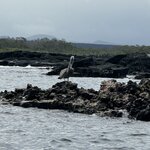 Photo taken by Gary W