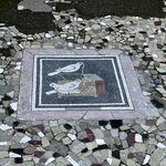 Photo taken by Martin L