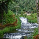 Photo taken by Brett F