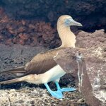 Photo taken by Carla C