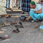 Photo taken by Roni E