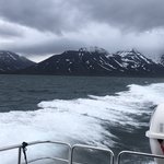 Cruise to Glacier and Barentsberg  | Photo taken by florence P