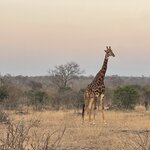 Photo taken by Catie S. C