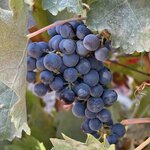 Photo taken by Keri G