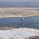 Photo taken by Eric H