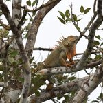 Photo taken by Graeme W