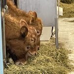 Photo taken by Nan K