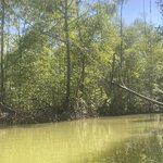 Photo taken by Kim L