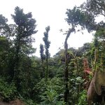 Photo taken by Darla D