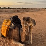 Photo taken by Jennifer M