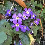 Photo taken by matthew h