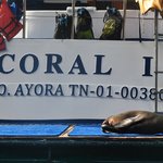 Photo taken by Natascia V