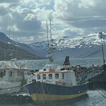 Photo taken by Tom B