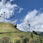 Photo taken by Erin K