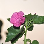 - | Photo taken by Karen W