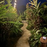 Photo taken by Sarah C