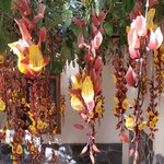 Photo taken by Garritt V