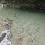 Photo taken by Touraj K