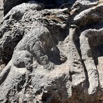 Photo taken by Sarah C