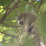 Photo taken by Cathy T