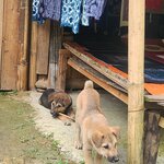 Photo taken by Sevi Y