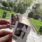 Visiting the Golden Triangle of Art | Photo taken by Lynn K