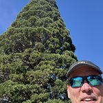 Photo taken by Mark M