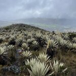 Photo taken by Amy F