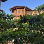 Photo taken by Sabrina S