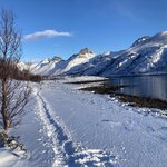 Photo taken by Sara L