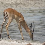 Photo taken by Kristin M