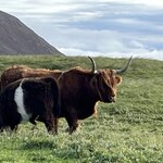 Photo taken by Danielle P