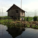 Floating vegetable gardens | Photo taken by Rodney S
