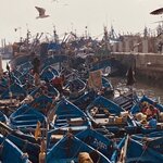 Photo taken by Diana G