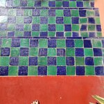 Photo taken by Hayley B