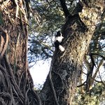 Photo taken by Virginia H