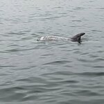 Photo taken by Amy W