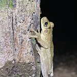 Photo taken by Shanthi V