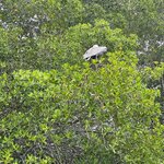 Photo taken by Gary W