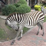 Photo taken by Gabrielle A