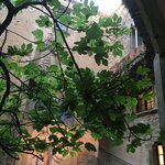 Photo taken by Joan G