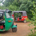 Photo taken by Tanya G