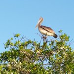 Photo taken by Michael T