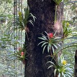 Photo taken by Graciela P