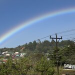 Photo taken by Erika H