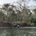 Photo taken by Marianne O