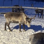 Photo taken by Jennifer M