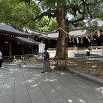 Photo taken by Susan M